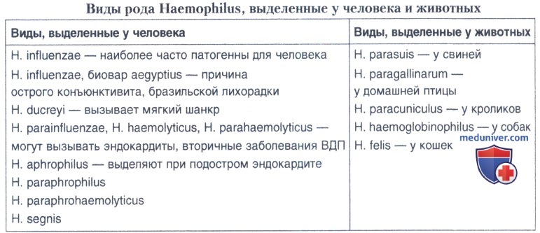  Haemophilus influenzae: , ,  