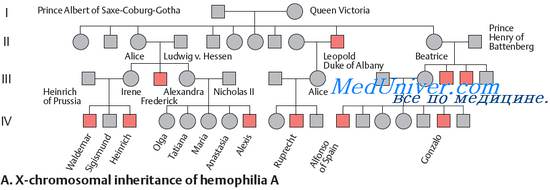 Гемофилия механизм