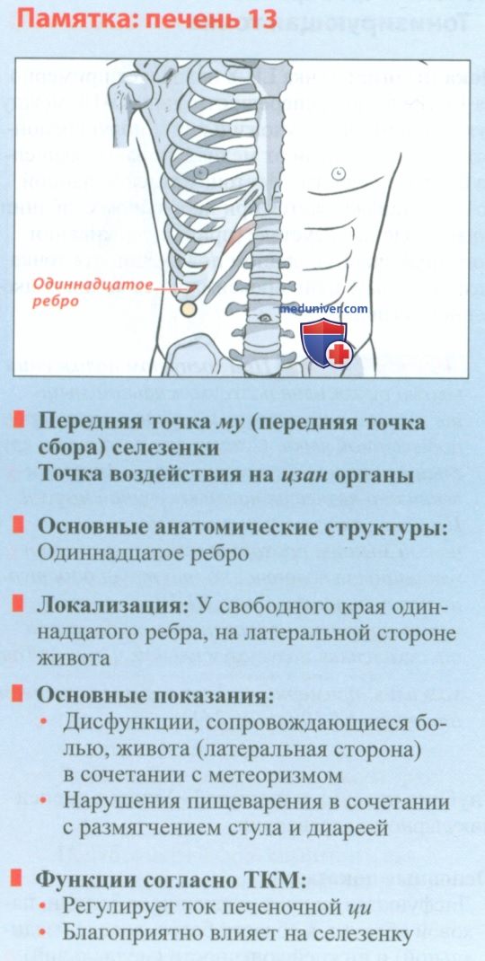 Точка печени 13 цжан мэнь в акупунктуре