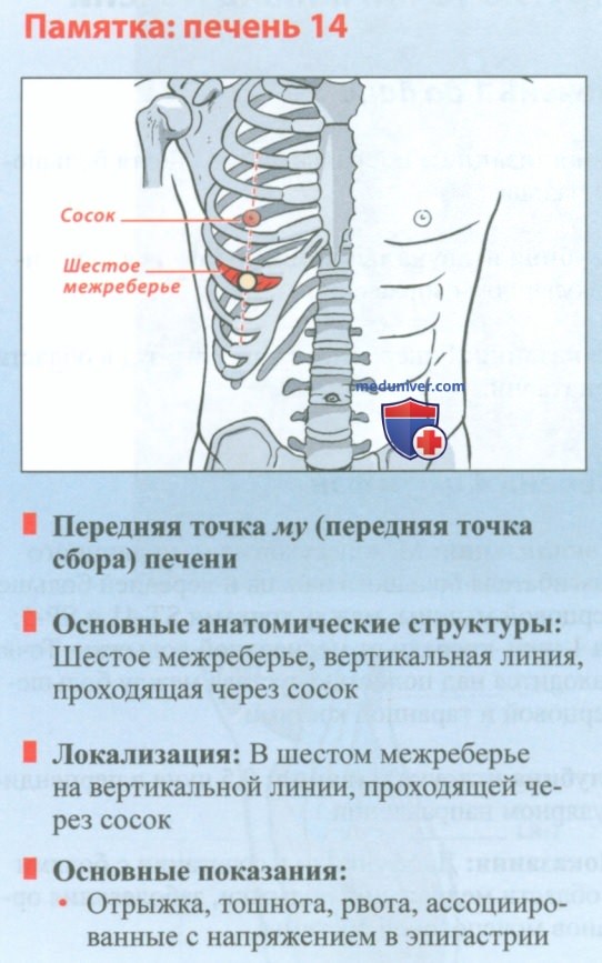 Точка печени 14 ци мэнь в акупунктуре