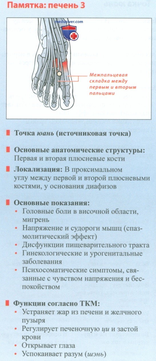 Точка печени 3 тай чун в акупунктуре