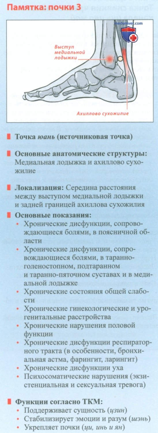 Точка почки 3 тай си в акупунктуре