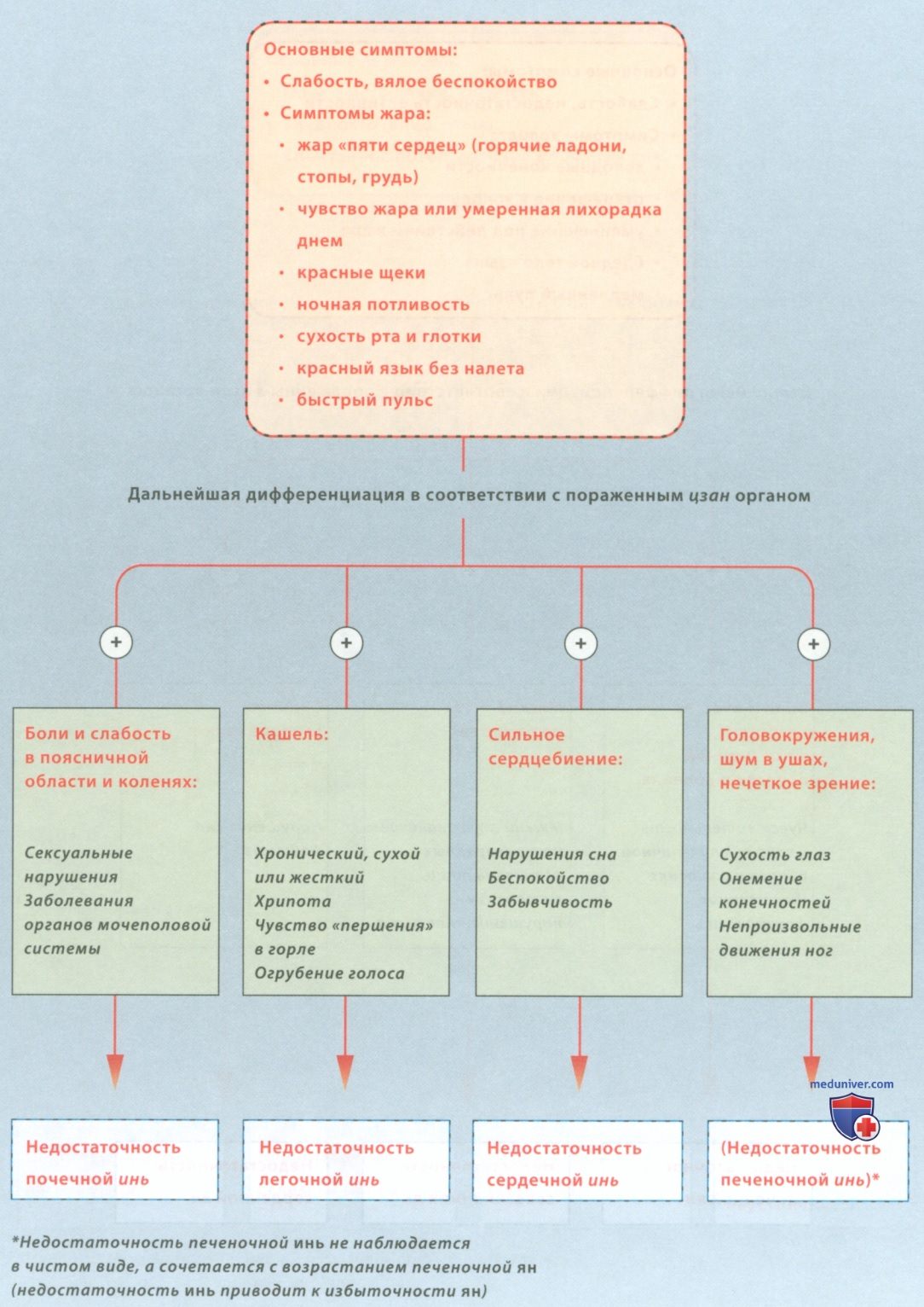 Различия между недостаточностью инь почек, легких и сердца (печени) в акупунктуре