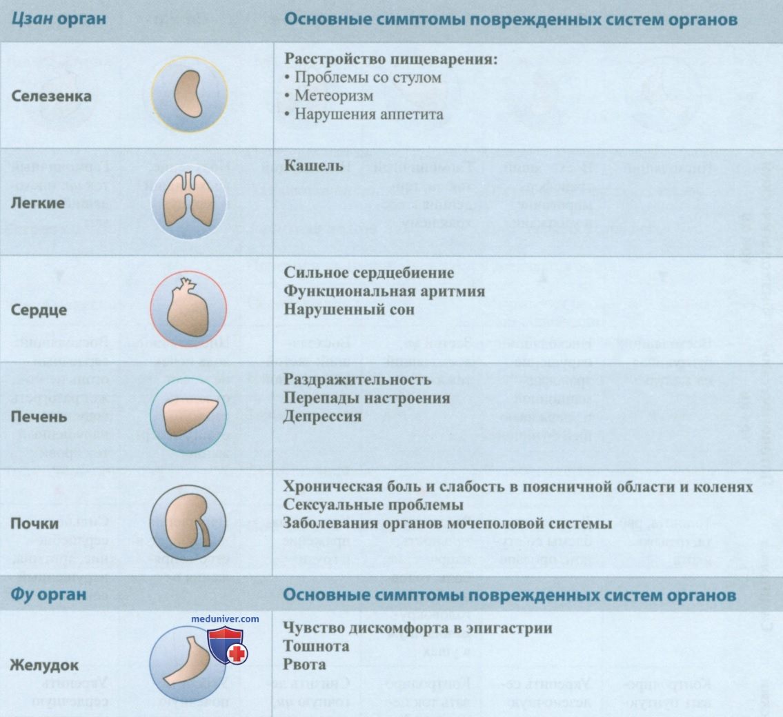 Основные симптомы поврежденных систем органов в акупунктуре