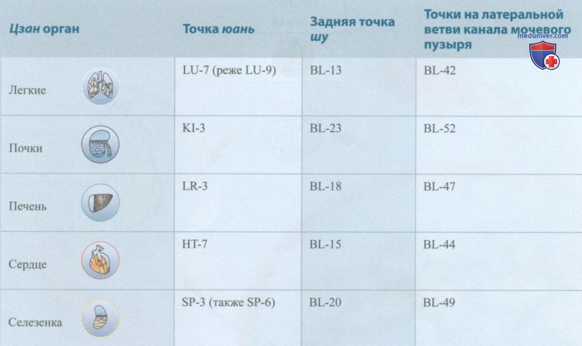 Базовая терапевтическая концепция психосоматических дисфункций в акупунктуре