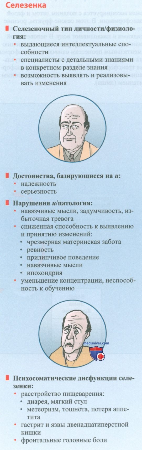 Психосоматические дисфункции селезенки в акупунктуре