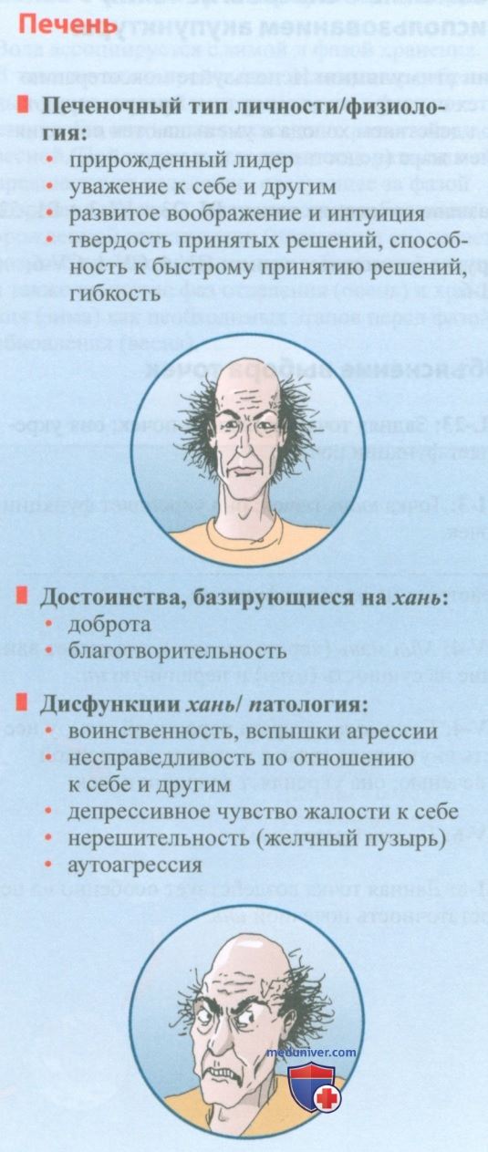 Психосоматические дисфункции печени в акупунктуре