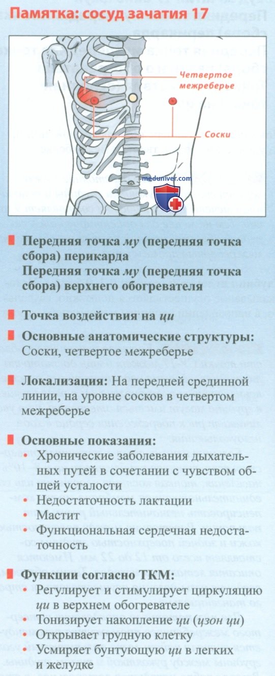 Точка сосуд зачатия 17 дань цжун в акупунктуре