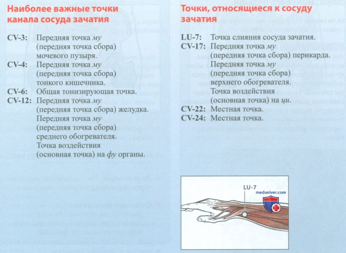 Сосуд зачатия (жэнь май) в акупунктуре