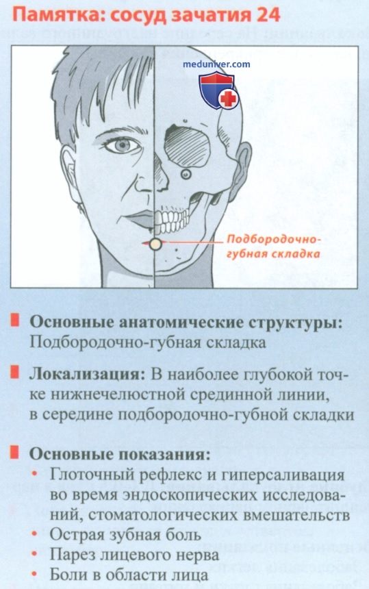 Точка сосуд зачатия 24 чэн цзян в акупунктуре