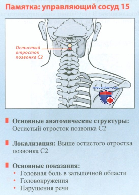 Точка управляющий сосуд 15 я мэнь в акупунктуре