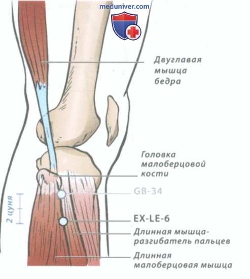 ����� EX-LE-1 ����� ��, EX-LE-3 ��� ��� �� � EX-LE-6 ���� ��� � �����������