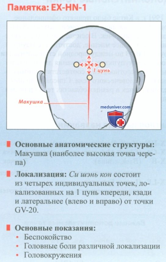 Точка EX-HN-1 си шэнь кун в акупунктуре