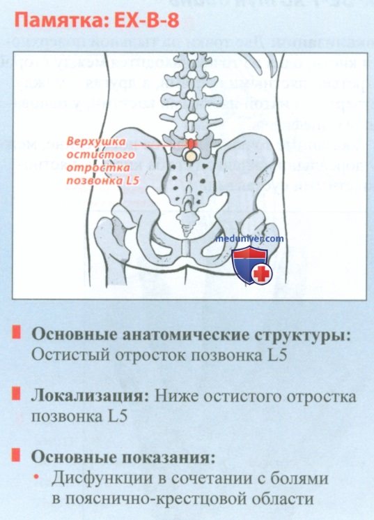 Точка ЕХ-В-8 ши ци цжуи в акупунктуре