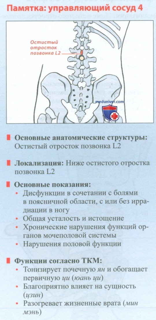 Канал управляющий сосуд (ду май) в акупунктуре