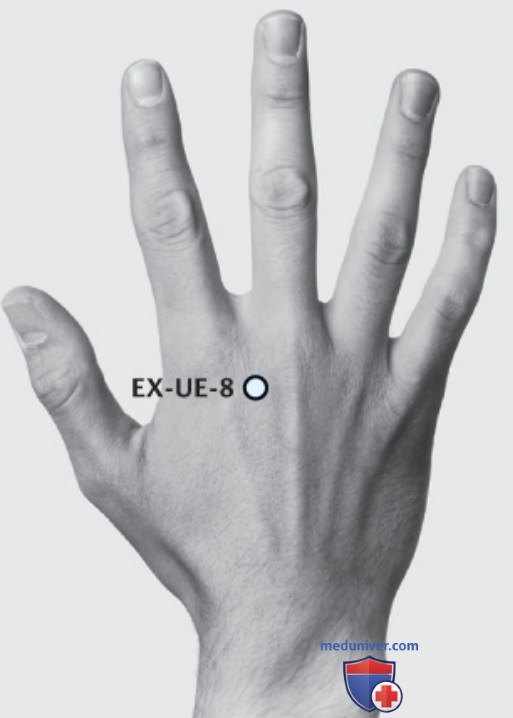 ����� EX-UE-8 ��� ��� ��� ��� �� ����� � �����������