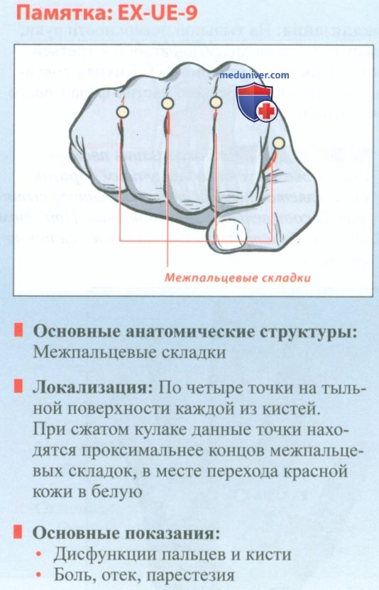 Точка EX-UE-9 ба сиэ в акупунктуре