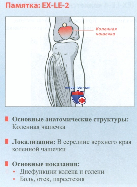 ����� EX-LE-2 �� ��� � �����������