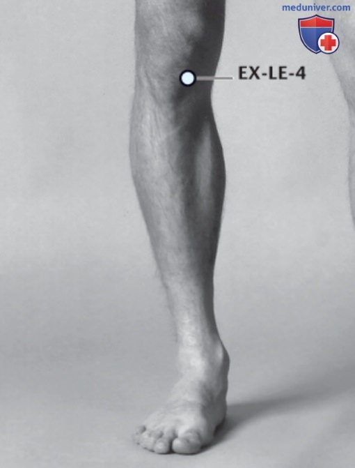 ����� EX-LE-4 ��� �� ��� (EX-LE-4 �������� ������ EX-LE-5) � �����������