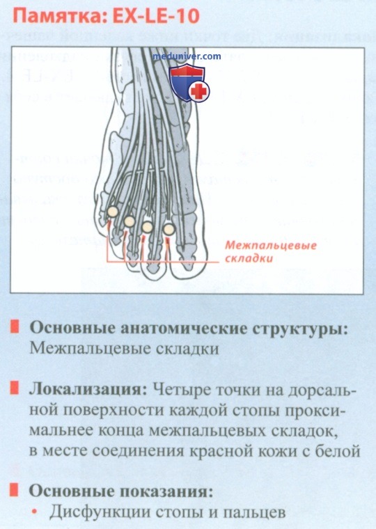 Точка EX-LE-10 ба фэн в акупунктуре