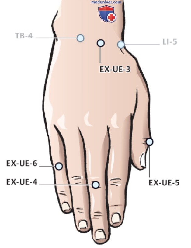 ����� EX-UE-3 ���� �����, EX-UE-4 ���� ���, EX-UE-5 �� �� ���, EX-UE-6 ��� �� ��� � �����������