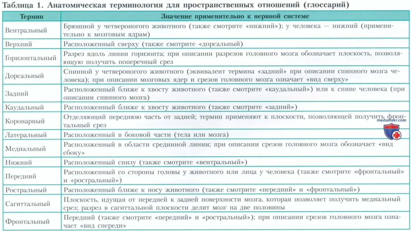 �������� � �������� �������� � ������� �����