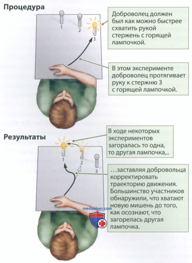 Сознание