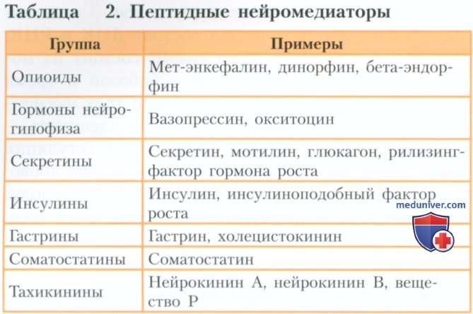 Нейромедиаторы и их рецепторы