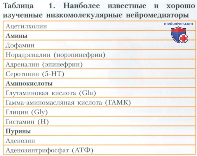 Нейромедиаторы и их рецепторы