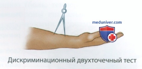 Соматосенсорные рецепторы и ощущения