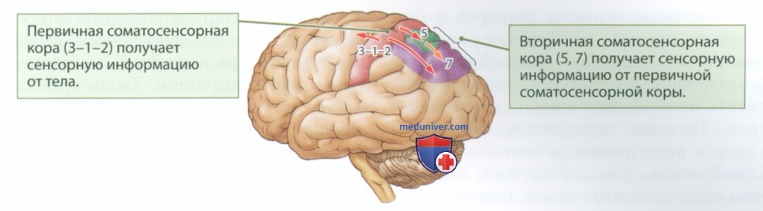 ��������������� ����������
