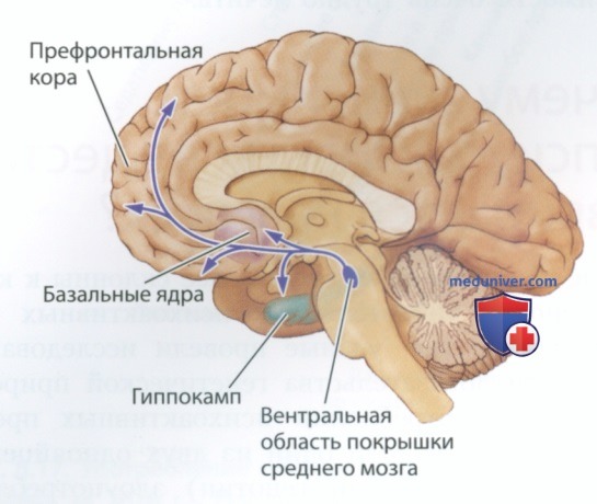 ������� ����������� �� ������������� ������� � �� �������