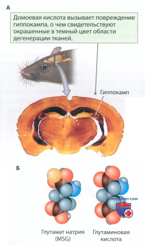 ������� ����������� �� ������������� ������� � �� �������