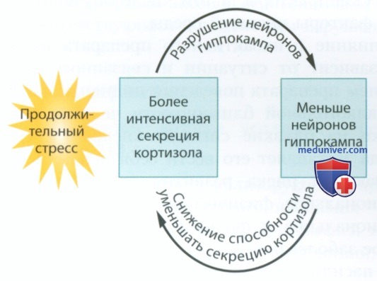 ������� � �� ������� �� ����, ���������