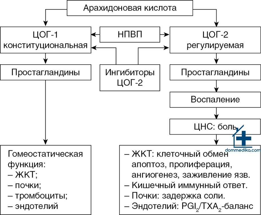 ����������� ������ ������