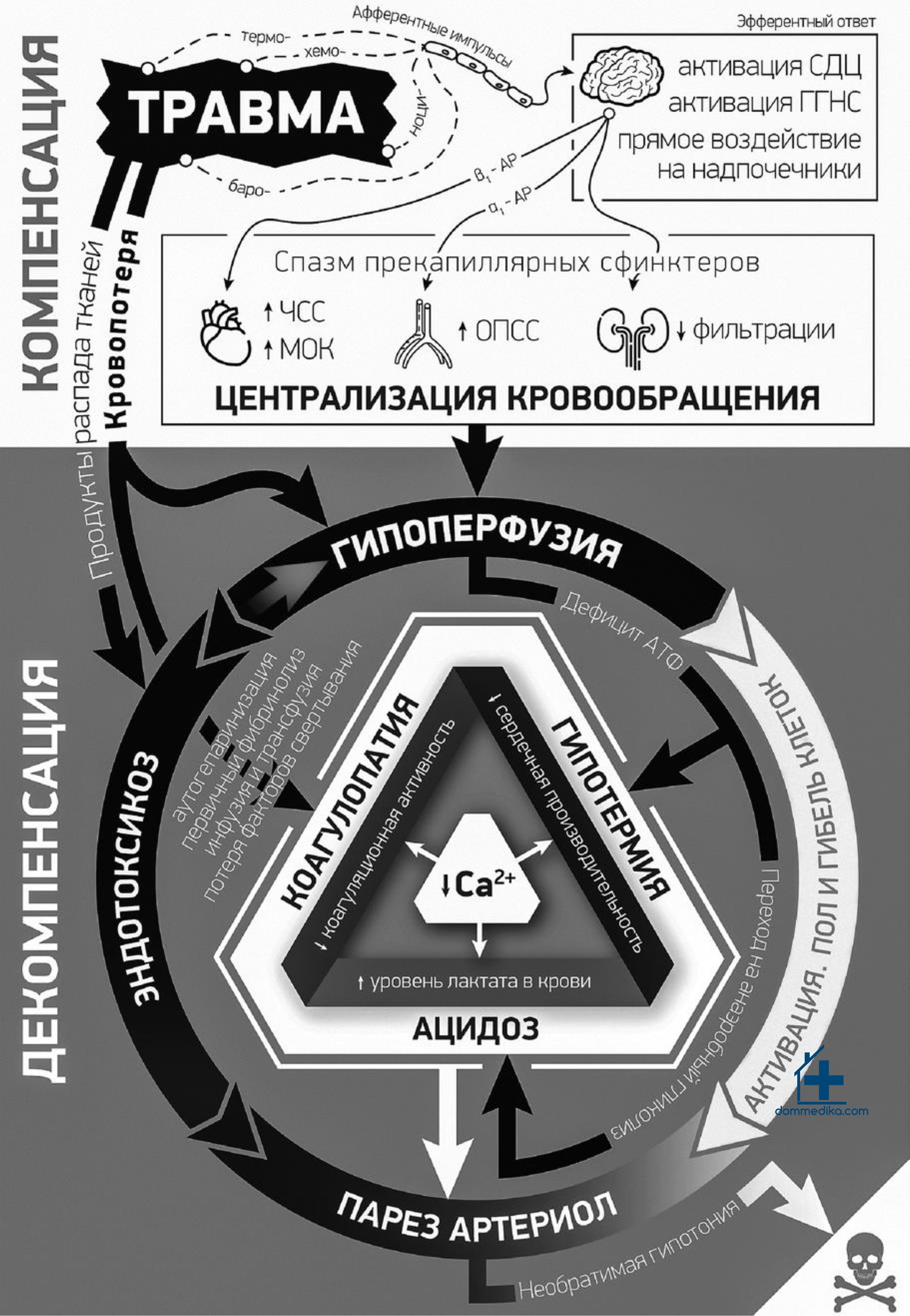 Травматический шок